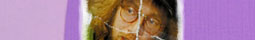 Andy Bausch-Filmmaker