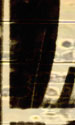 Andy Bausch-Filmmaker