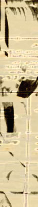 Andy Bausch-Filmmaker